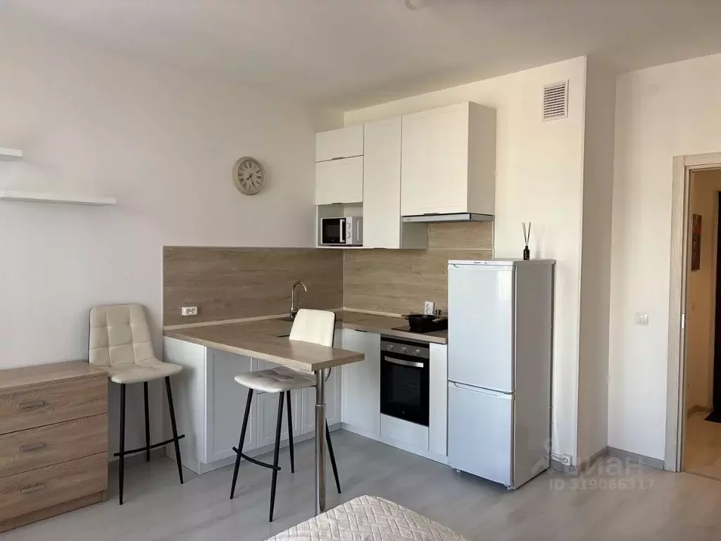 Студия Санкт-Петербург аллея Арцеуловская, 19 (24.5 м) - Фото 1