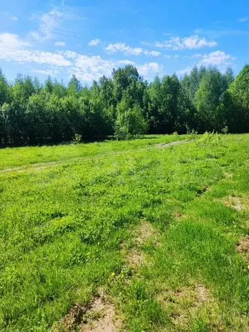 Участок 10,89 га (СНТ, ДНП) - Фото 0