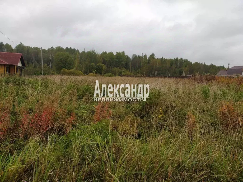 Участок в Новгородская область, Чудовский район, Трегубовское с/пос, ... - Фото 1