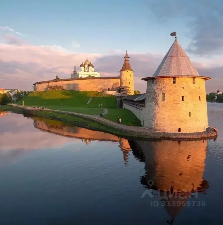 1-к кв. Псковская область, Псковский район, Завеличенская волость, д. ... - Фото 0