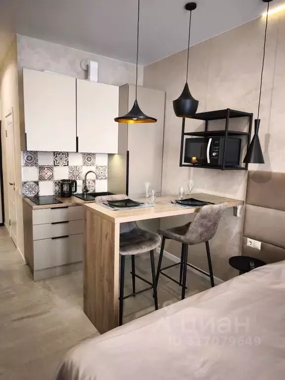 Студия Краснодарский край, Сочи ул. Ленина, 290/7к2 (24.0 м) - Фото 0