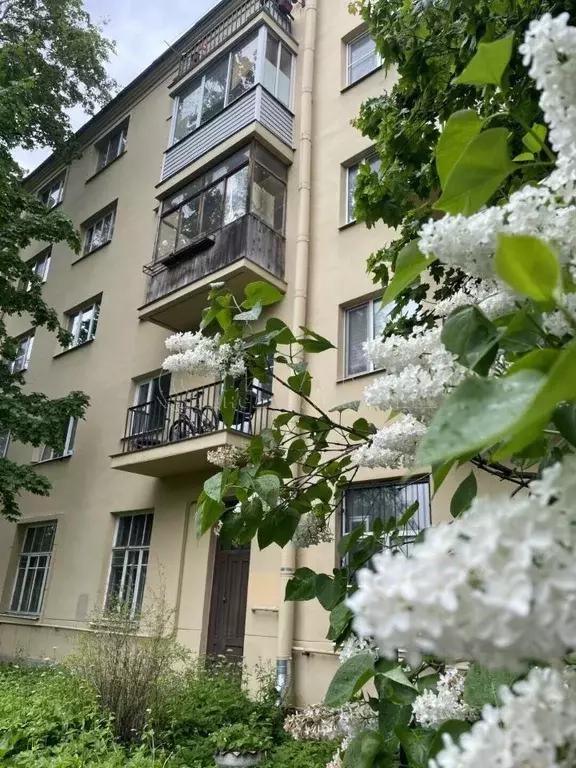 Комната Санкт-Петербург 2-й Рабфаковский пер., 1К1 (17.4 м) - Фото 1