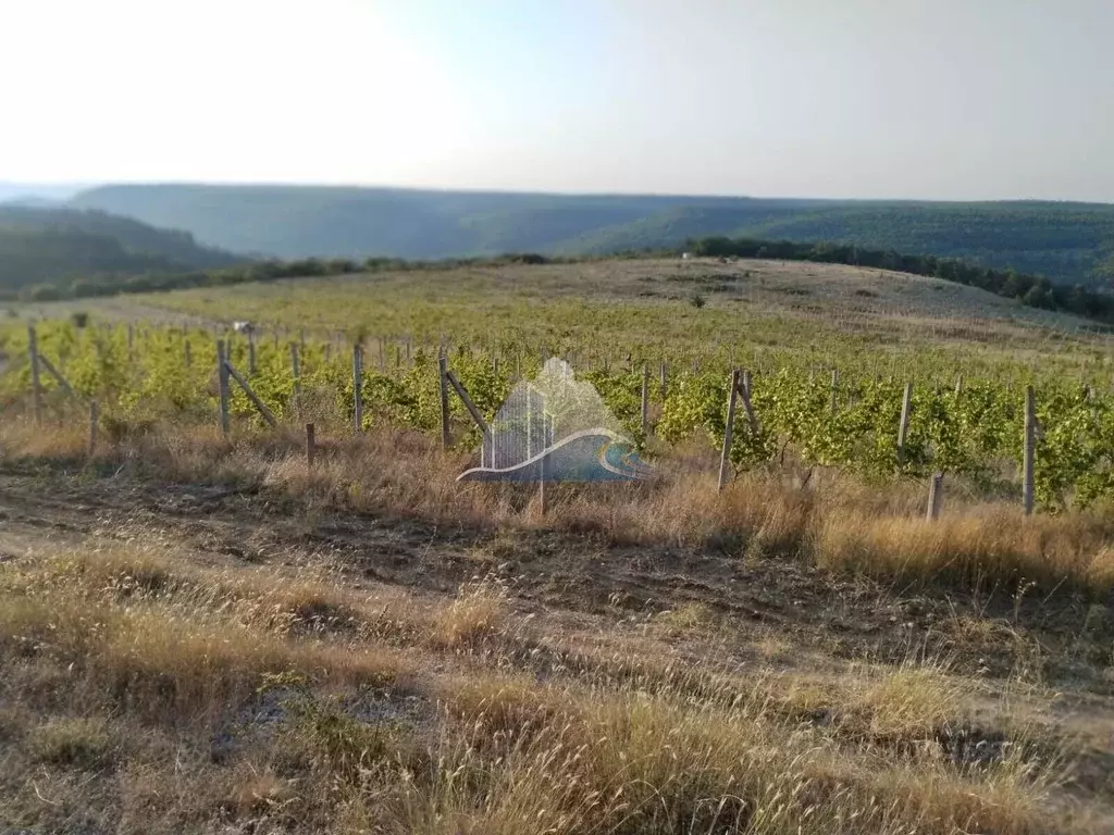 Участок в Севастополь с. Верхнесадовое, ул. Севастопольская, 1 (3.5 ... - Фото 2