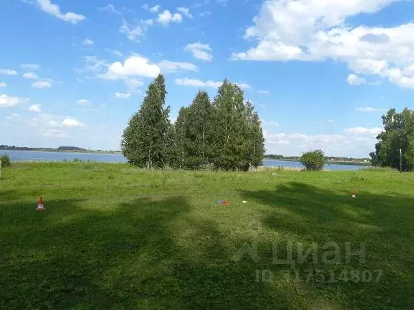 Участок в Челябинская область, Копейск Курочкино-2 СНТ,  (6.4 сот.) - Фото 1