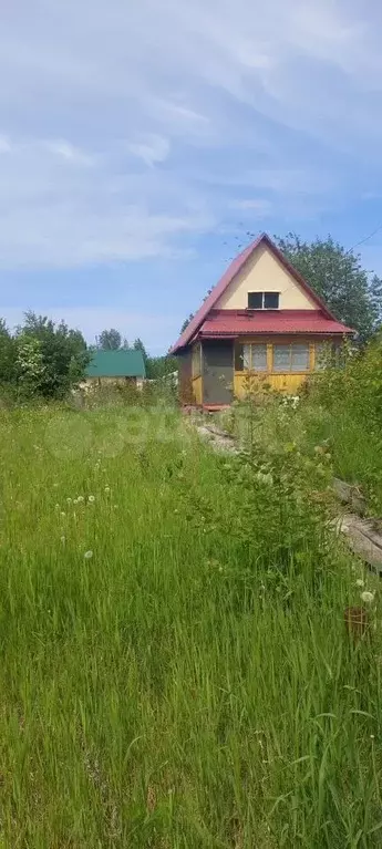 Участок 6 сот. (СНТ, ДНП) - Фото 0