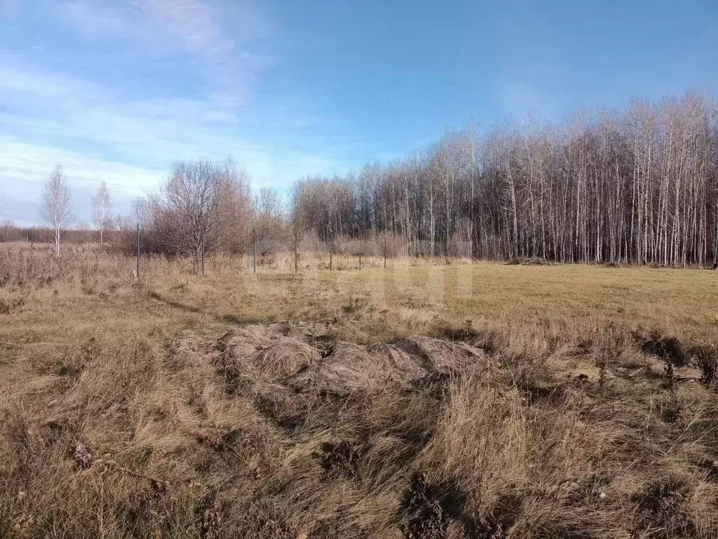 Участок в Тюменская область, Тюменский муниципальный округ, ... - Фото 1