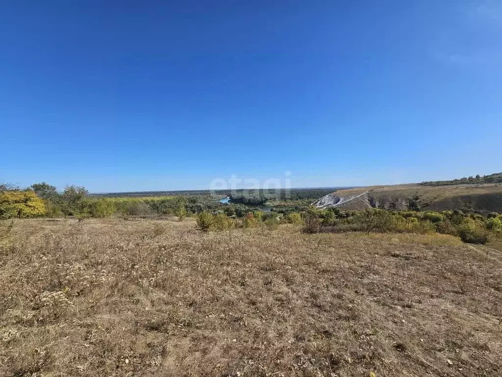 Участок в Воронежская область, Подгоренский район, Белогорьевское ... - Фото 1