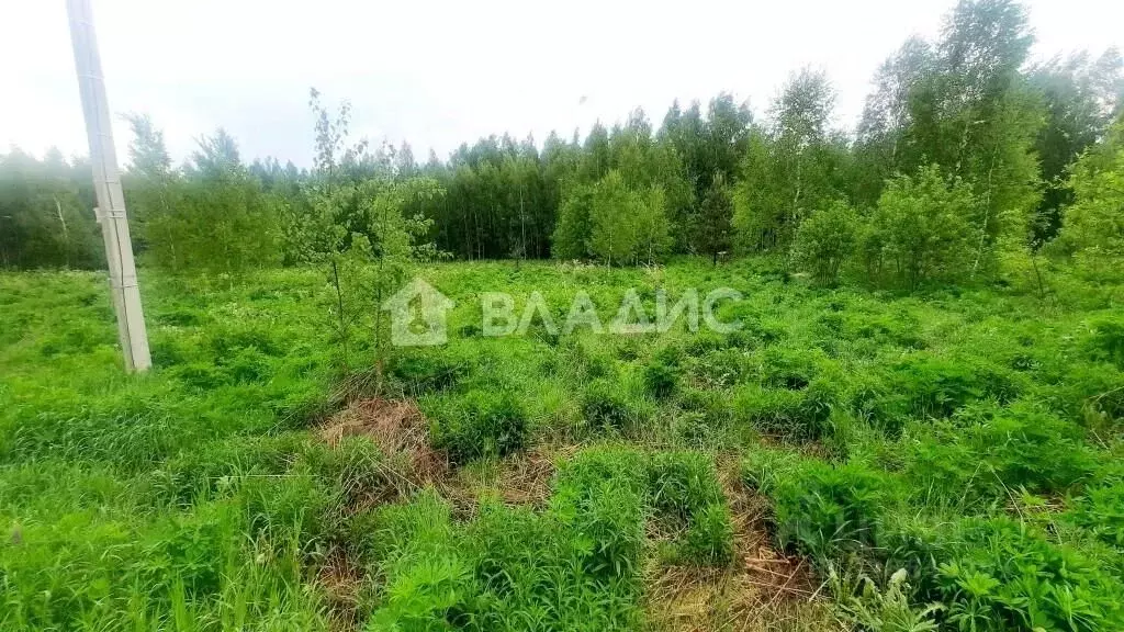 Участок в Нижегородская область, Городецкий муниципальный округ, д. ... - Фото 1