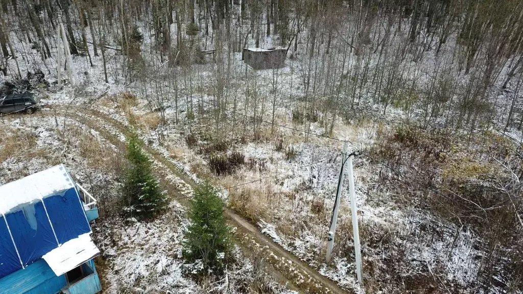 Участок в Владимирская область, Александровский район, Андреевское ... - Фото 0