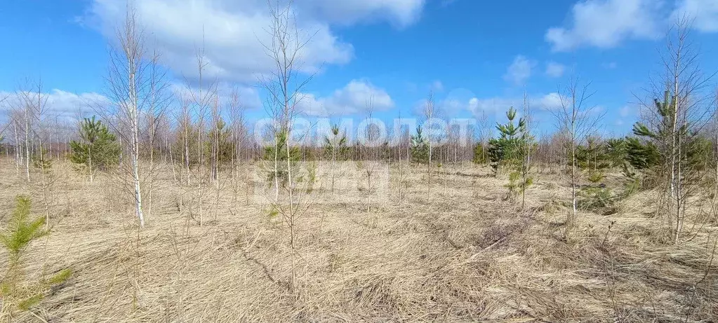 Участок 10,7 сот. (ИЖС) - Фото 0