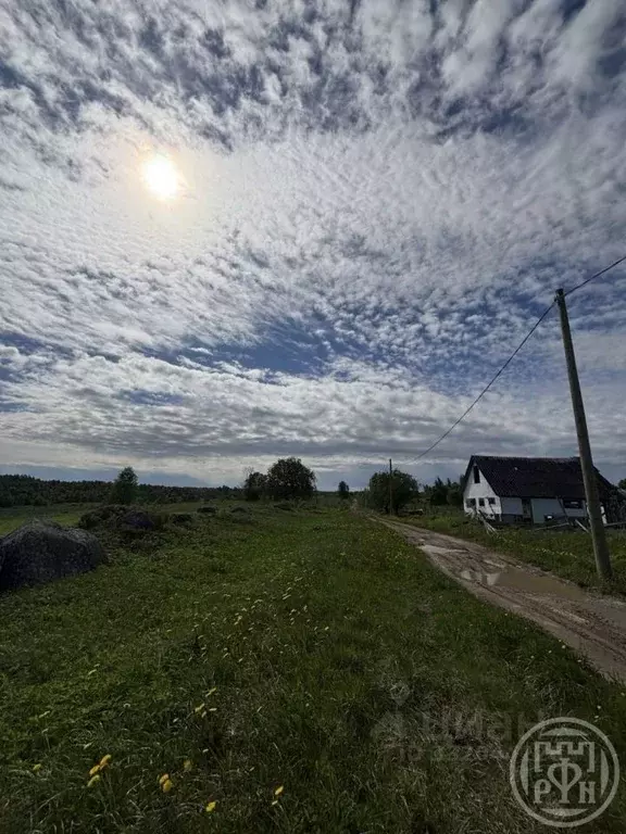 Участок в Ленинградская область, Ломоносовский район, Лопухинское ... - Фото 2