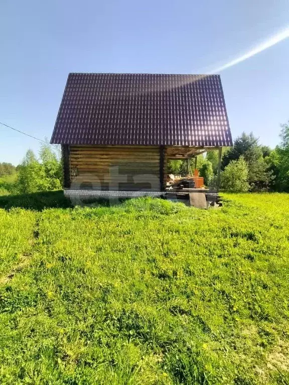 Участок в Костромская область, Шарьинский район, Шангское с/пос, д. ... - Фото 2