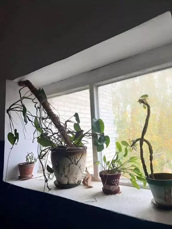 2-к кв. Москва пос. Щапово, 47 (50.0 м) - Фото 1