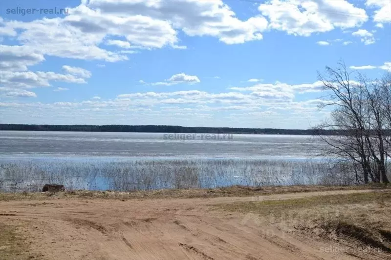 Участок в Тверская область, Осташковский городской округ, д. Задубье  ... - Фото 0