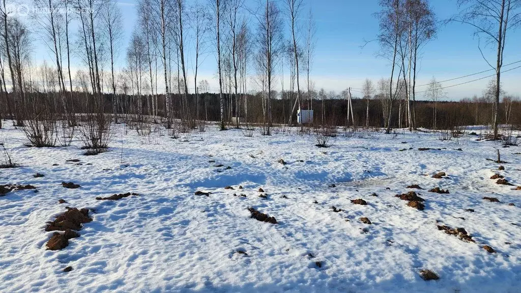 Участок в Московская область, городской округ Клин, коттеджный посёлок ... - Фото 1