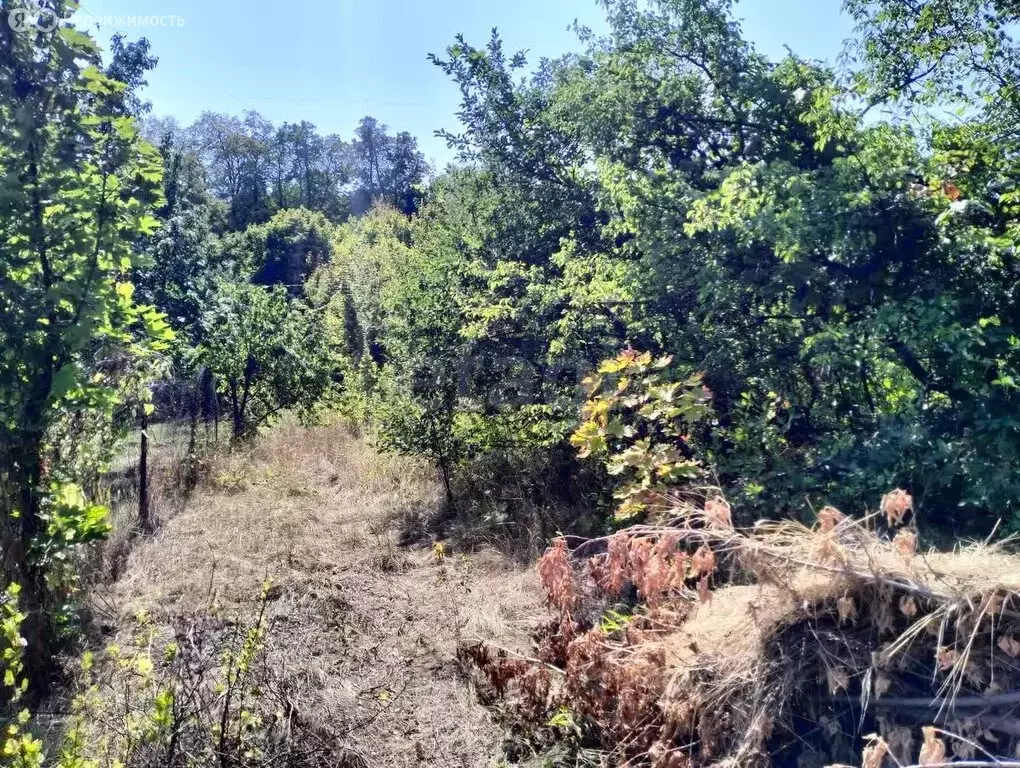 Участок в Саратов, СНТ Мечта-1 (5.3 м) - Фото 2