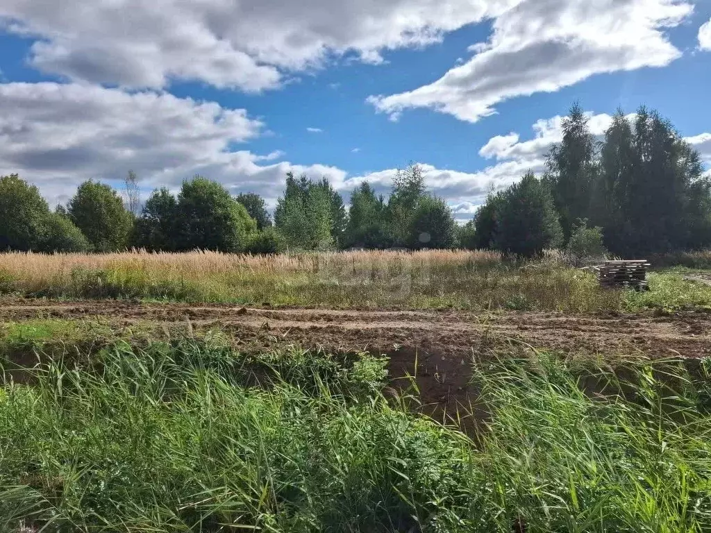Участок в Костромская область, Кострома ул. Владимира Люсина (10.0 ... - Фото 0