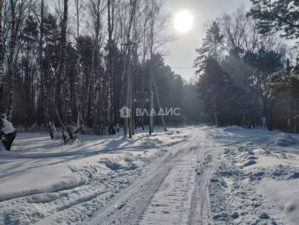Участок в Кемеровская область, Кемеровский муниципальный округ, с. ... - Фото 2