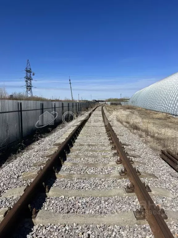 Производственное помещение в Тюменская область, Тюмень Велижанский ... - Фото 1