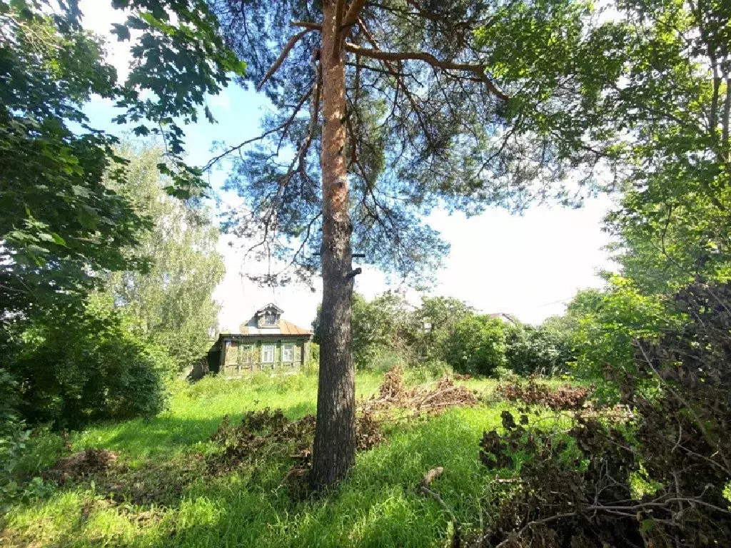 Продается дом в д. Вялки - Фото 2