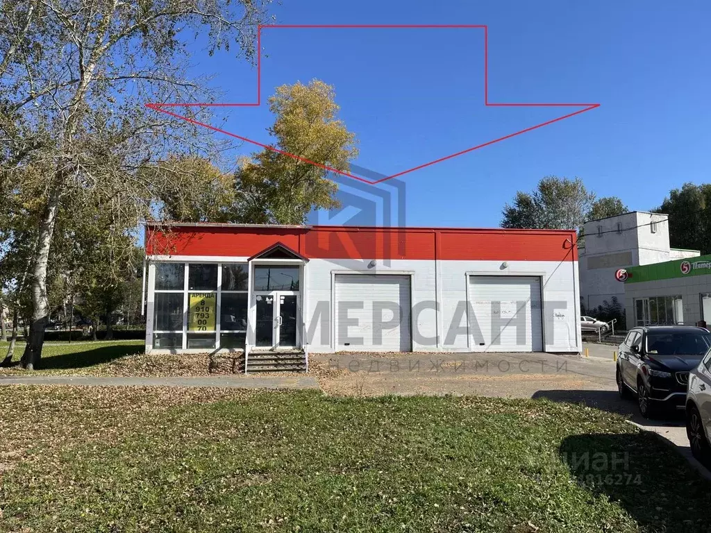 Торговая площадь в Нижегородская область, Нижний Новгород ул. ... - Фото 1