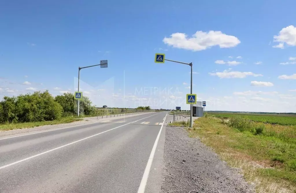 Участок в Тюменская область, Тюменский муниципальный округ, с. Чикча  ... - Фото 2