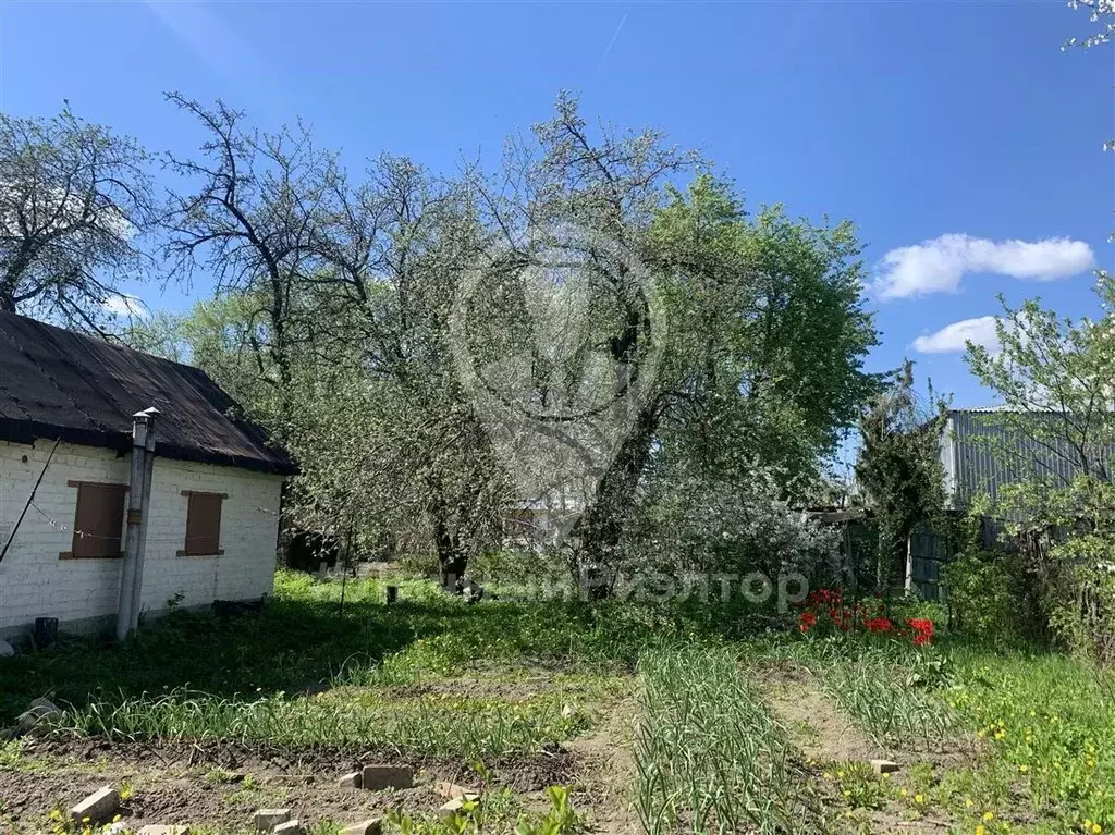 Участок в Рязанская область, Рязань Авангард садоводческое ... - Фото 0