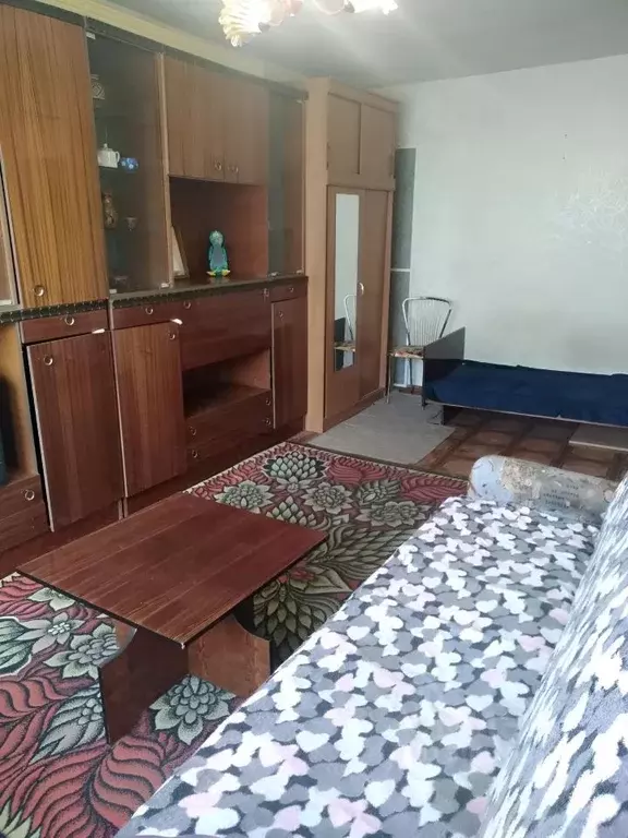 1-к кв. Нижегородская область, Дзержинск ул. Терешковой, 28 (30.0 м) - Фото 1