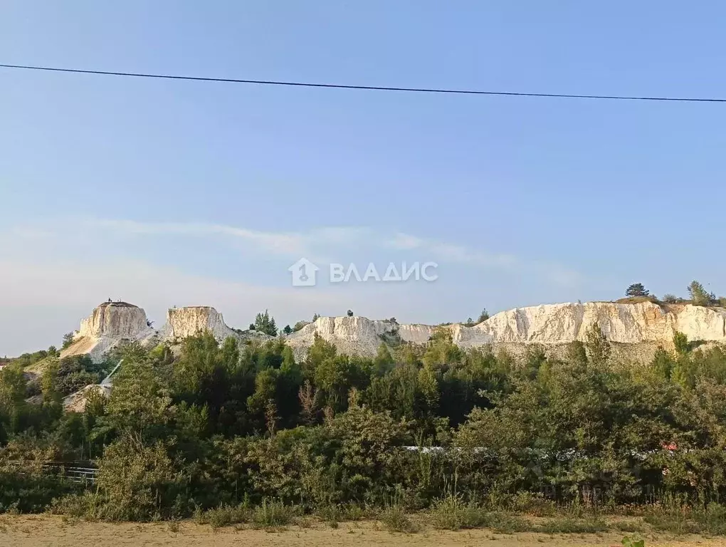 Участок в Воронежская область, Семилукский район, Девицкое с/пос, ... - Фото 0