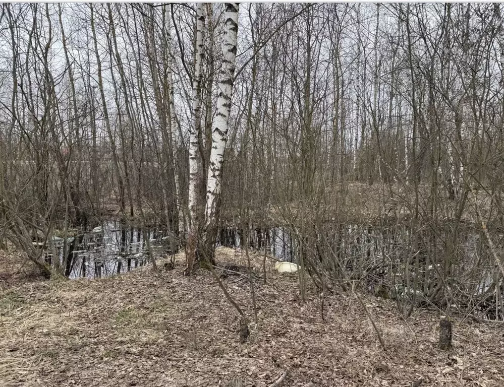 Участок в Московская область, Орехово-Зуевский городской округ, пос. ... - Фото 1