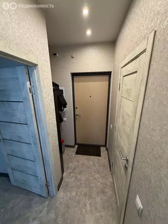 1-комнатная квартира: Санкт-Петербург, Плесецкая улица, 10 (29 м) - Фото 1