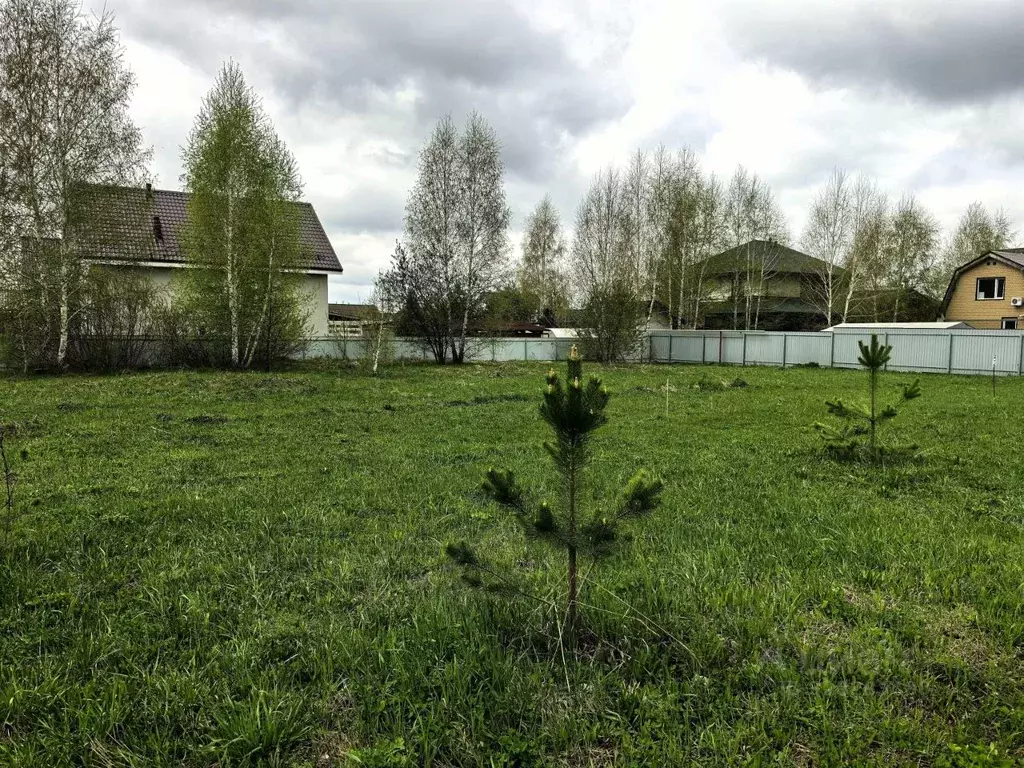 Участок в Новосибирская область, с. Новолуговое ул. Сиреневая (9.5 ... - Фото 2