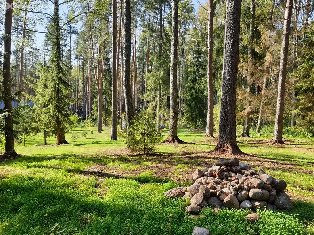Участок в Выборгский район, Красносельское сельское поселение, ... - Фото 2