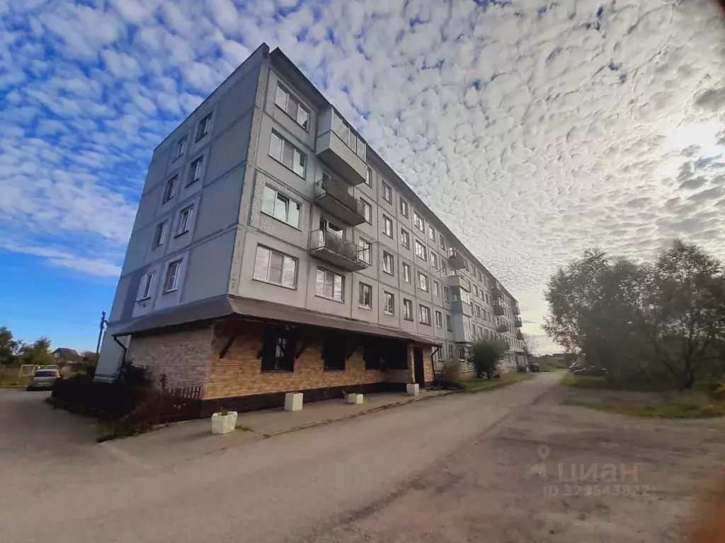 1-к кв. Новгородская область, Новгородский район, Савинское с/пос, д. ... - Фото 1