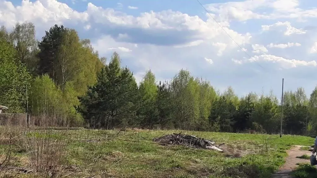 Участок в Владимирская область, Судогодский район, Лавровское ... - Фото 1