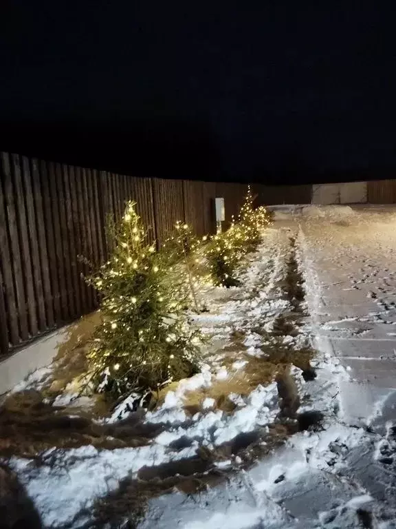 Дом в Карелия, Прионежский район, Заозерское с/пос, д. Ялгуба ул. ... - Фото 2