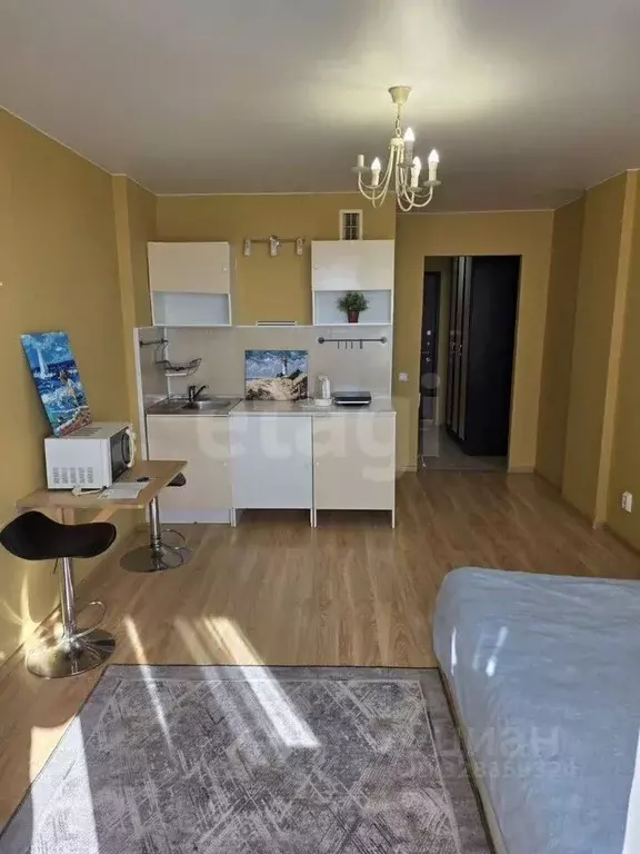 Студия Санкт-Петербург Полевая Сабировская ул., 47к1 (27.0 м) - Фото 1