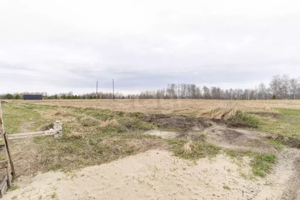 Участок в Тюменская область, Тюменский муниципальный округ, д. ... - Фото 1