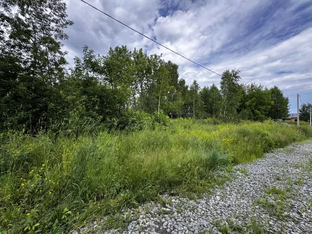 Участок, 10 сот., сельхоз (снт или днп) - Фото 1