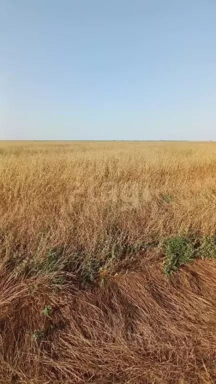 Участок в Крым, Сакский район, с. Веселовка  (25.32 сот.) - Фото 1