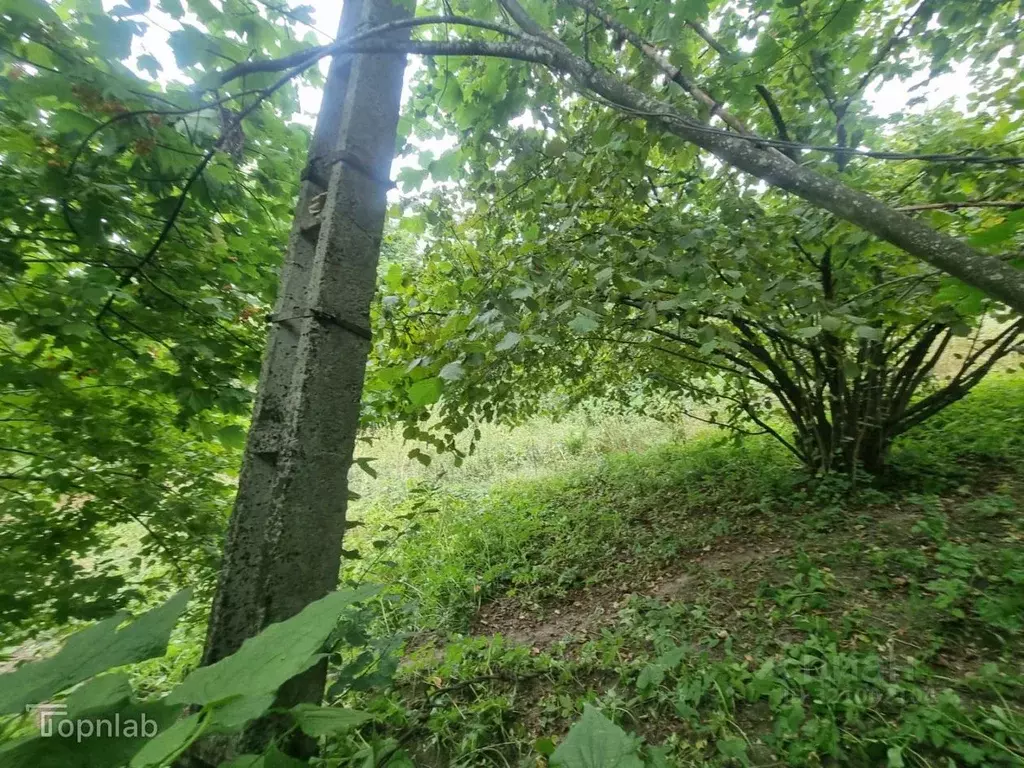 Участок в Кабардино-Балкария, Нальчик Восход СТ, 32 (9.4 сот.) - Фото 2