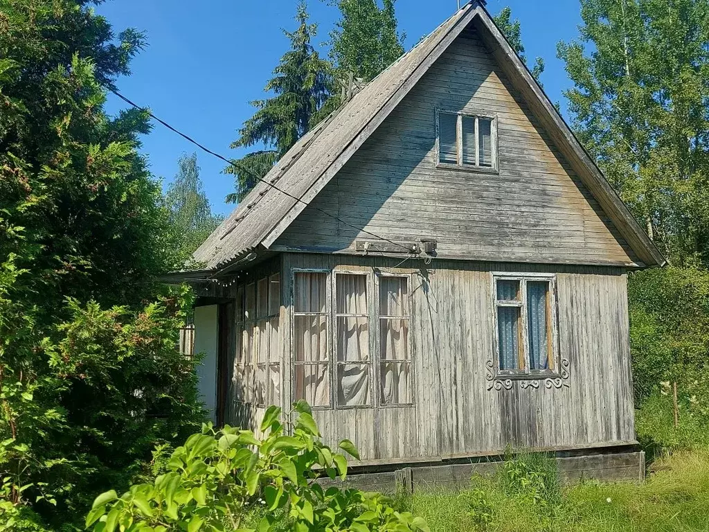 Дом в Ленинградская область, Лужский район, Мшинское с/пос, Мшинская ... - Фото 1