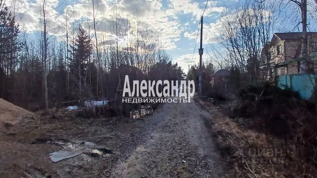 Участок в Ленинградская область, Тосненский район, Форносовское ... - Фото 1