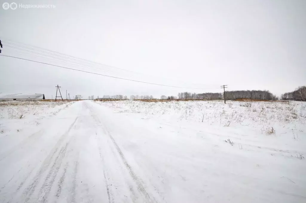 Участок в Исетский район, село Бобылево (124 м) - Фото 1