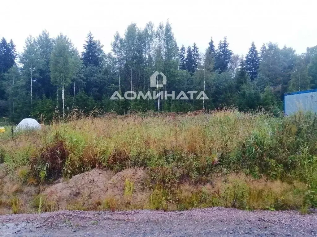Участок в Ленинградская область, Всеволожский район, Лесколовское ... - Фото 1