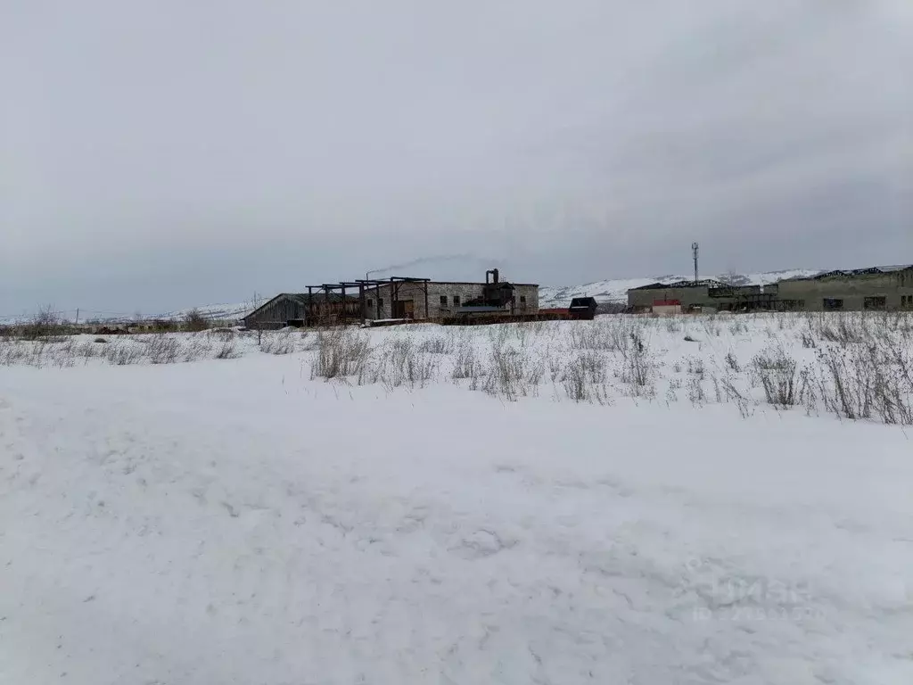 Участок в Алтай, Майминский район, с. Подгорное Центральная ул. (6.0 ... - Фото 1