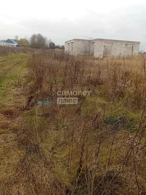 Участок в Липецкая область, с. Доброе ул. Луговая (30.0 сот.) - Фото 2