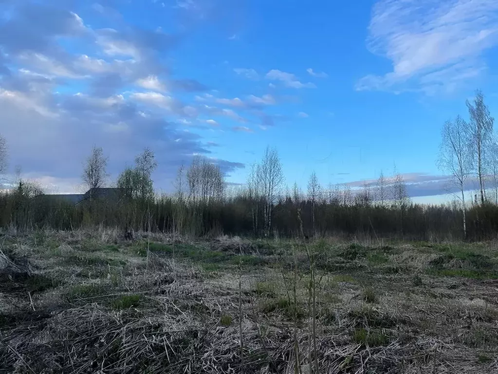 Участок в Ленинградская область, Всеволожск ул. Рубцова, 57 (7.0 сот.) - Фото 0