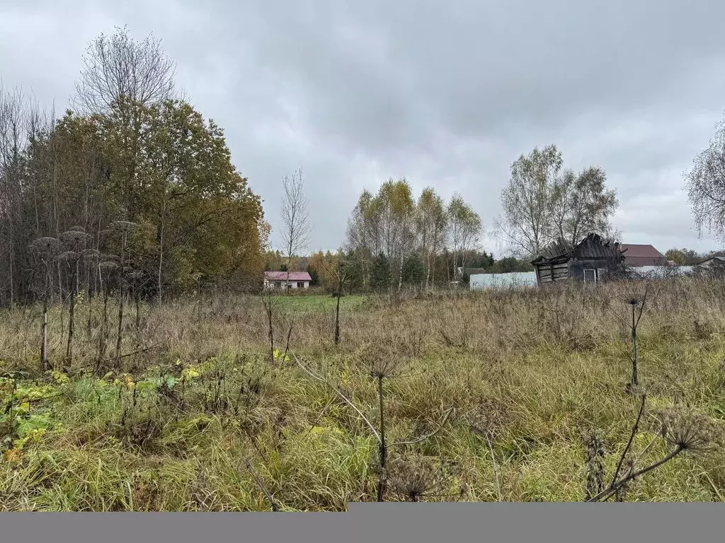 Участок в Московская область, Рузский муниципальный округ, д. ... - Фото 1