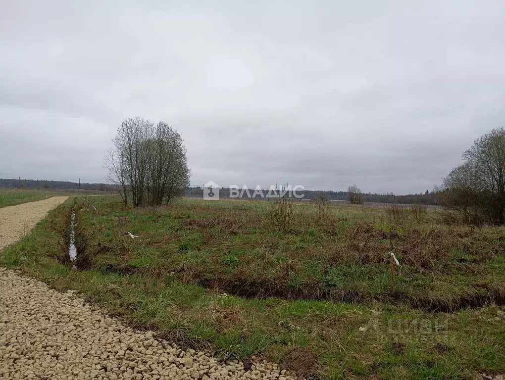 Участок в Ленинградская область, Гатчинский муниципальный округ, д. ... - Фото 1